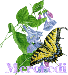 Gif animé Bon mercredi papillon